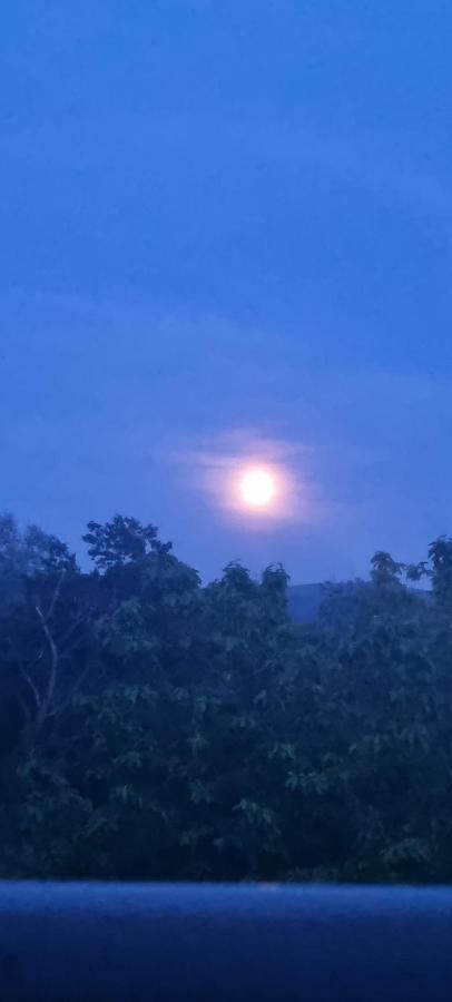 Fewo Tanja Lindau  Luaran gambar
